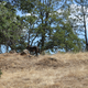 Illustration for article titled Toby Hike Day: Wellbarn Road to San Joaquin River Trail